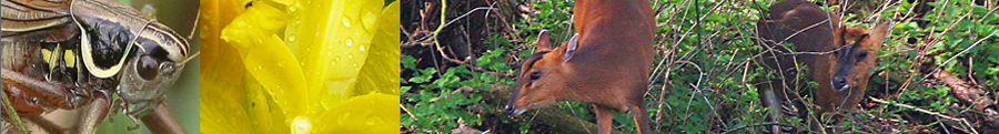 Hertfordshire Natural History Society