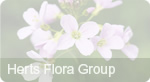 Flora group