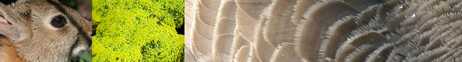 Hertfordshire Natural History Society