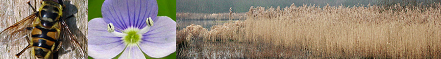 Hertfordshire Natural History Society