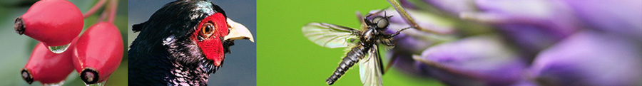 Hertfordshire Natural History Society