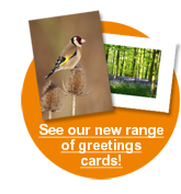 HNHS greetings cards