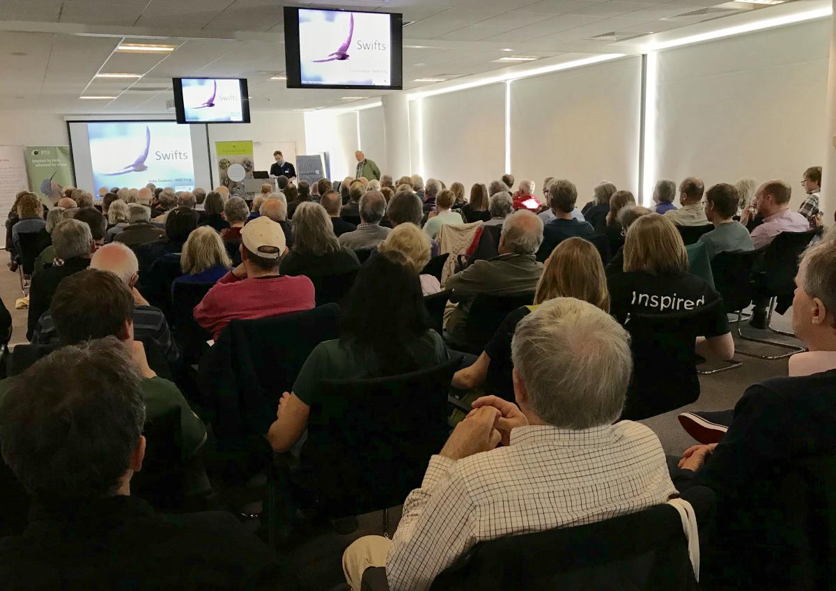 Vicky Duxbury talks about Swift conservation