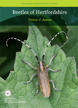 Beetles of Hertfordshire cover